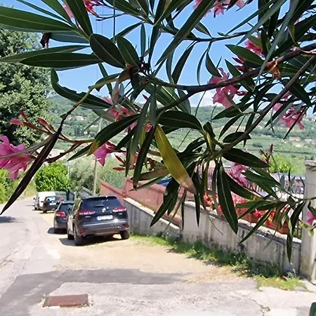 A * Bardolino