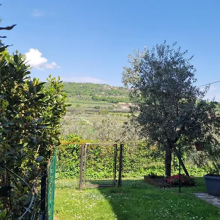 A Apartment Bardolino